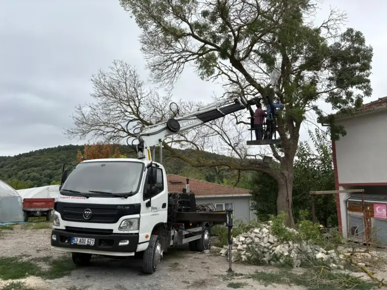 Vinçli araç ile ağaç başında yüksekte çalışma